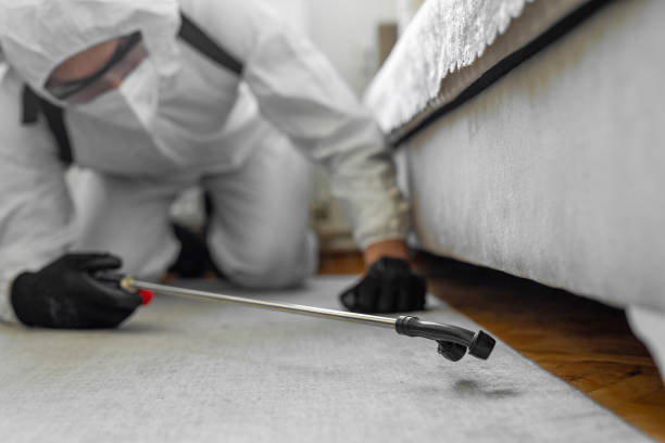Professional Cockroach Control technician working in McCord, OK