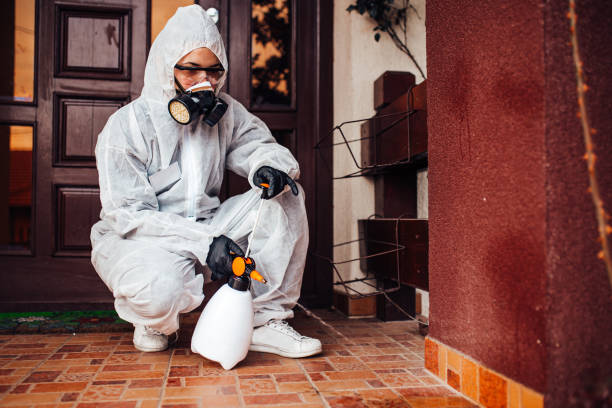 Reliable Cockroach Control contractor in McCord, OK by Nex Pest Control