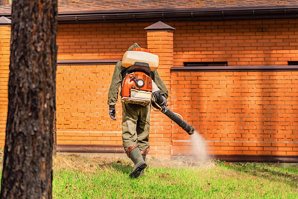 Top rated local Cockroach Control specialists in McCord, OK